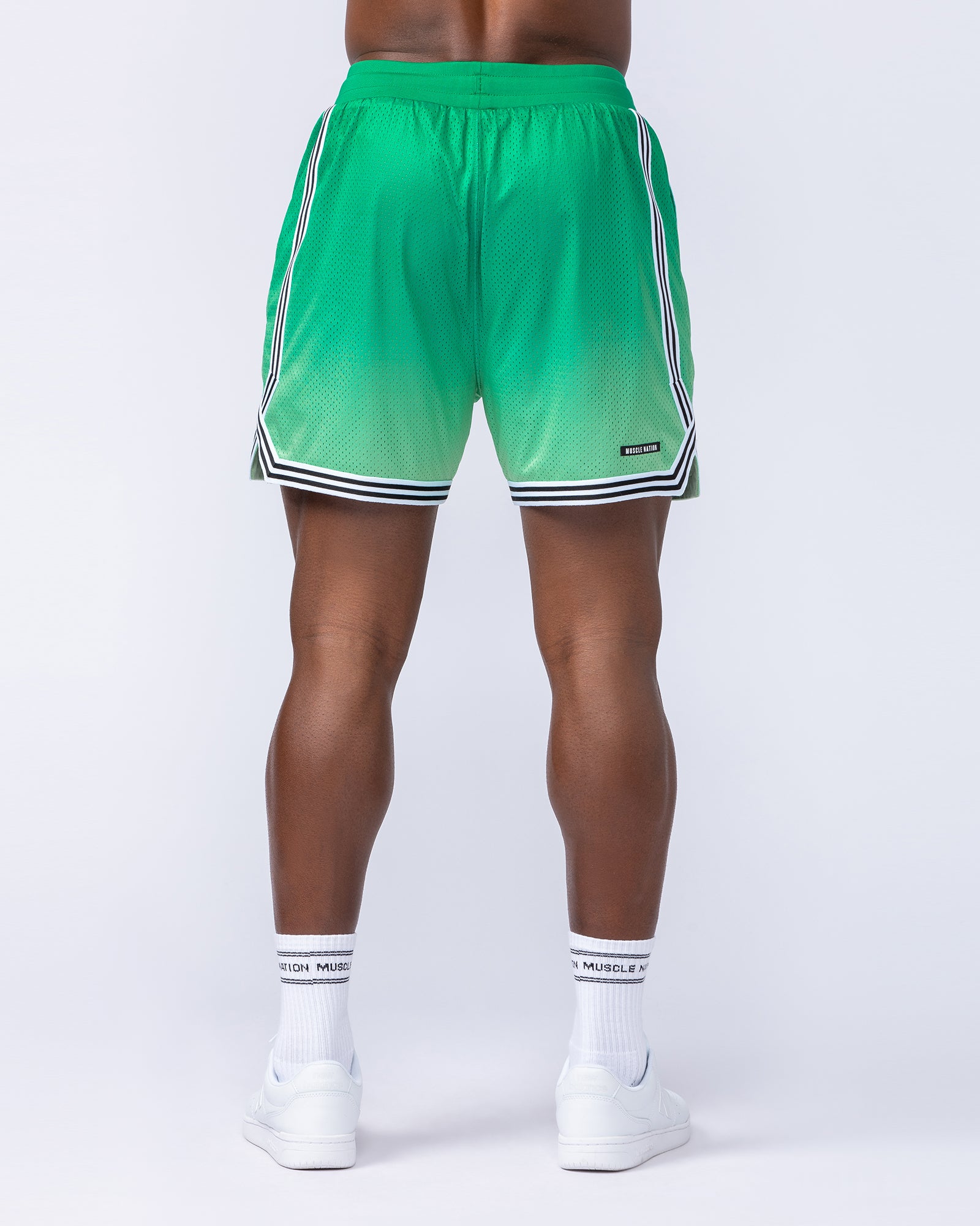 Stadium Basketball 5