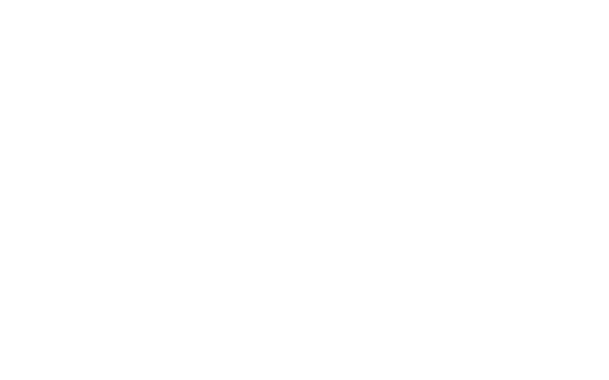 Run Shorts